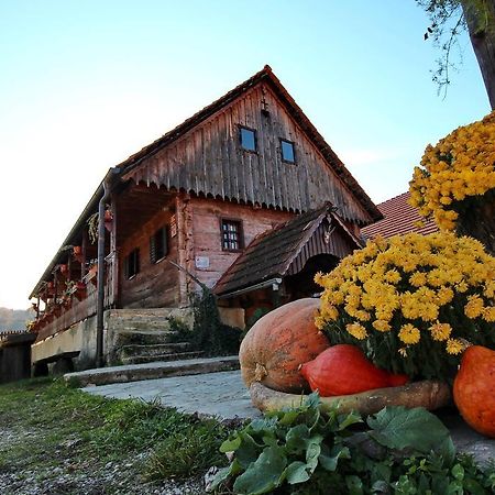 Tourist Farm Pri Martinovih Villa Krska Vas Exterior photo