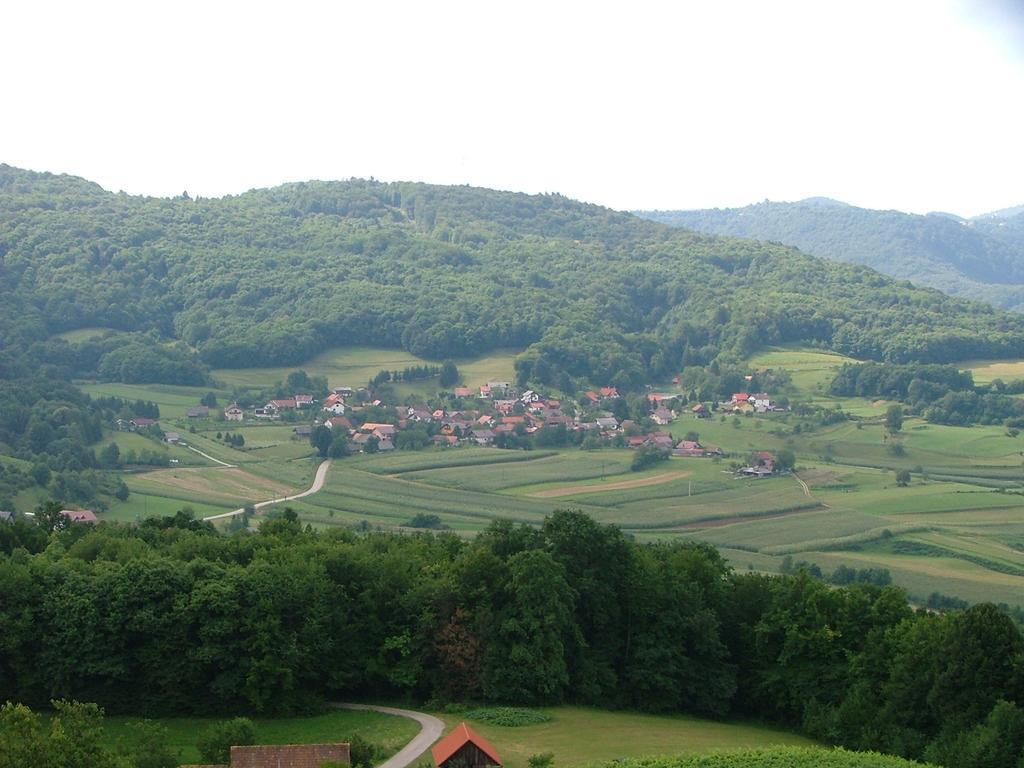 Tourist Farm Pri Martinovih Villa Krska Vas Exterior photo