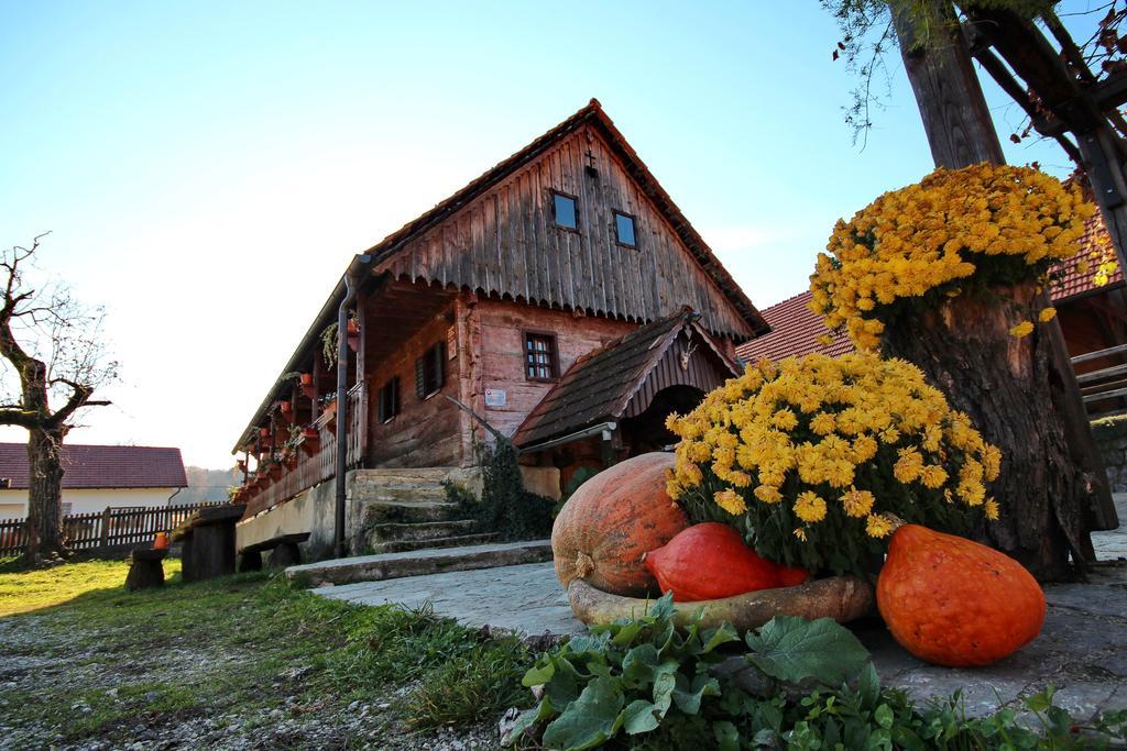 Tourist Farm Pri Martinovih Villa Krska Vas Exterior photo